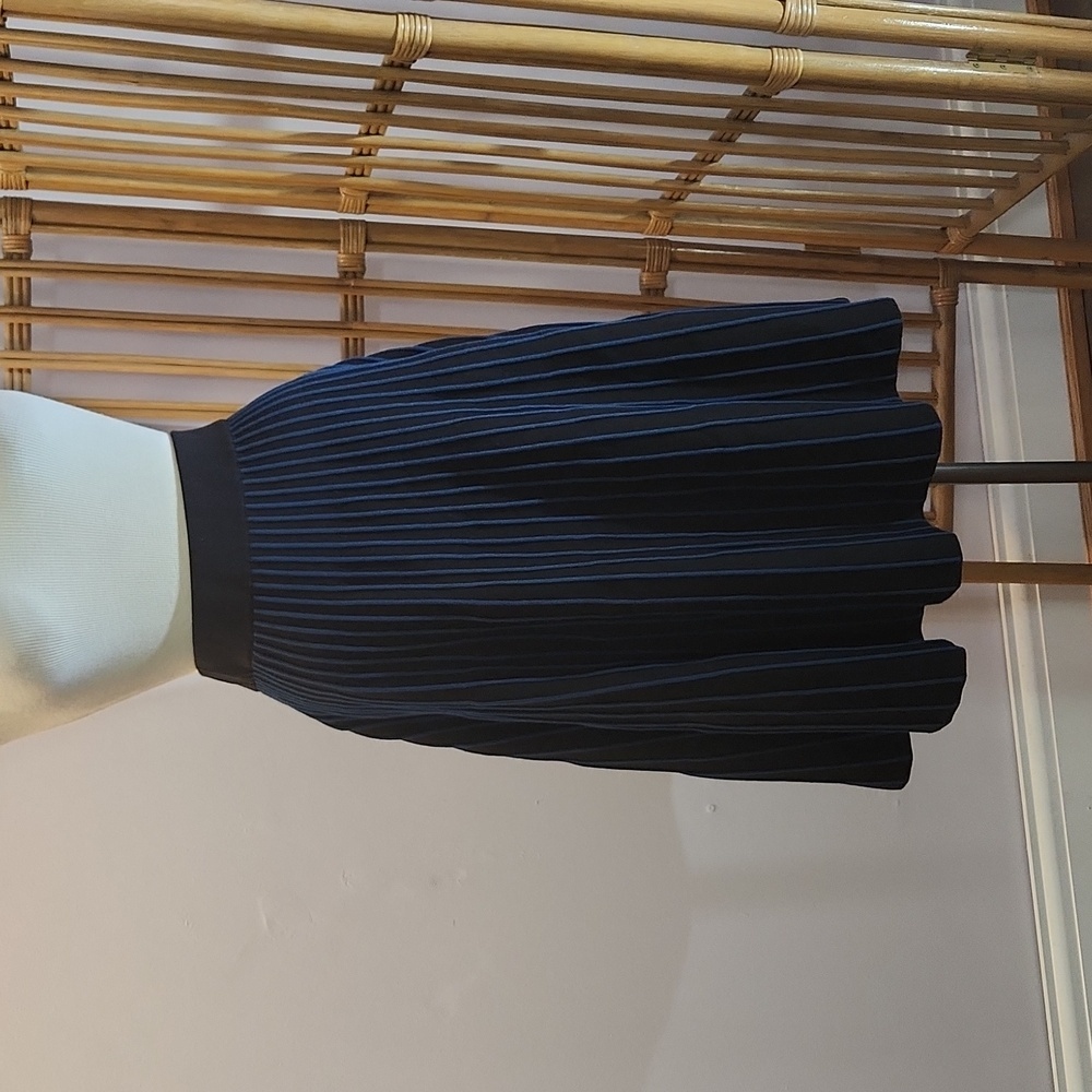 Anne Klein pleated black and blue skirt size Medium holiday business casual